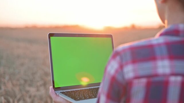 Woman holding laptop with green screen from behind in wheat field at sunset. Laptop features chromakey display for mockup, editable screen, customizable business presentation, agricultural marketing.