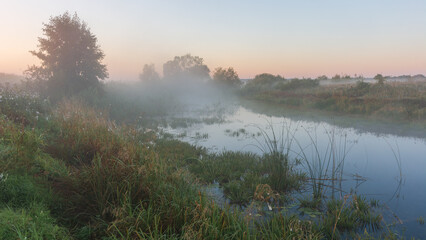A serene river flows gently through a misty landscape at sunrise, surrounded by lush green vegetation and silhouetted trees © Александр Арендарь