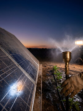 Sistema de riego agr&iacute;cola automatizado alimentado por paneles de energ&iacute;a solar al atardecer