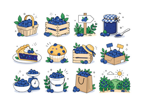 Blueberry Month. Blueberries, berry baskets, farm crates, jam, pie, muffins, market boxes, u-pick farms and summer fruit. 12 minimalist editorial vector scenes: blueberries fill a small basket, farm