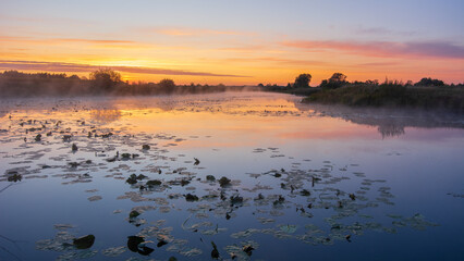 Fototapeta premium A serene river covered in water lilies reflects the vibrant orange and pink colors of a misty sunrise during dawn