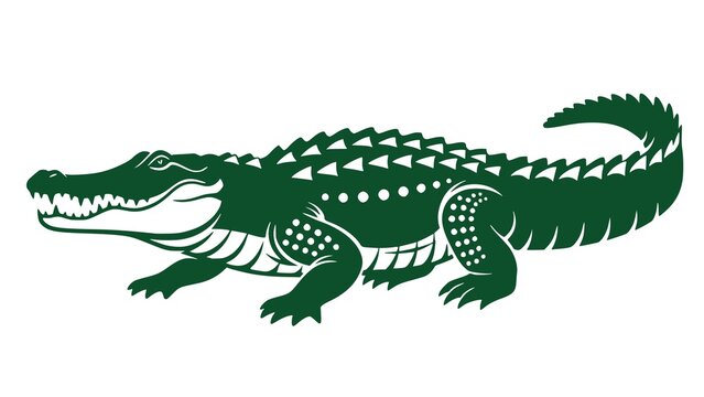 crocodile isolated on white vector illustration of a green crocodile.