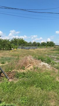 Rural landscape showing an abandoned yard