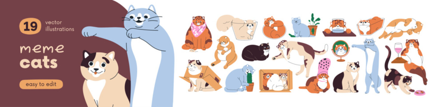 Funny meme cats, comic animals set. Happy and sad felines with humor emotions, amusing expressions and poses. Cute mem kitties, humorous pets. Flat vector illustrations isolated on white background