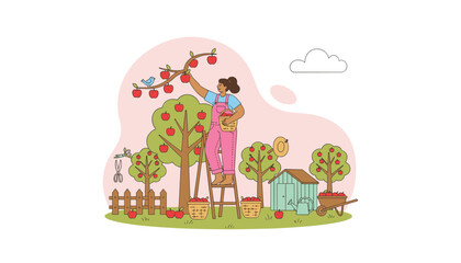 Naklejka premium Woman on ladder harvesting fresh red apples in orchard flat vector illustration
