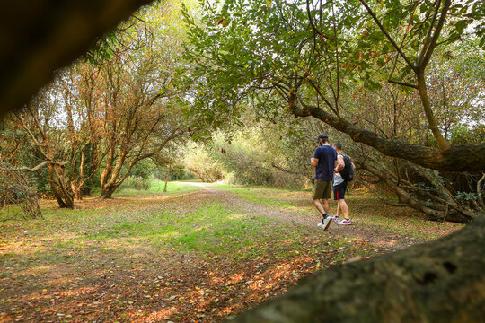 Two young men hiking a trail through trees