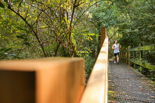 A young man running in nature, crossing a wooden bridge between trees.