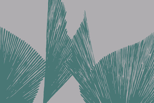 Hand drawn line engraving of abstract Licuala palm leaves with cropped fan-shaped foliage and bold carved textures, creating a modern tropical botanical background for packaging, textiles, posters.
