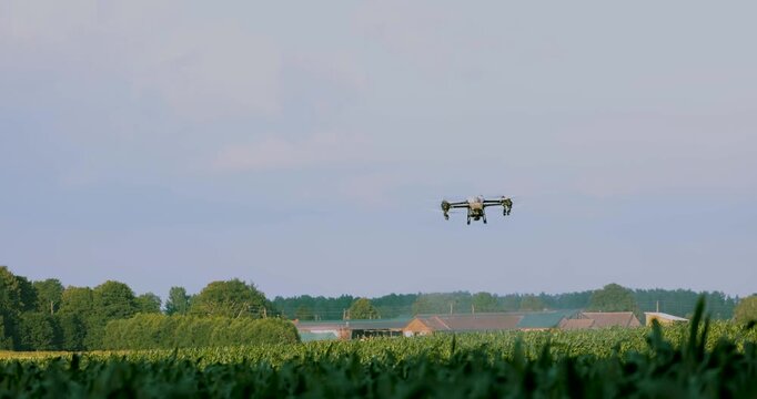 Agricultural spray drone flying over crop field for precision farming. Pesticide, fertilizer application