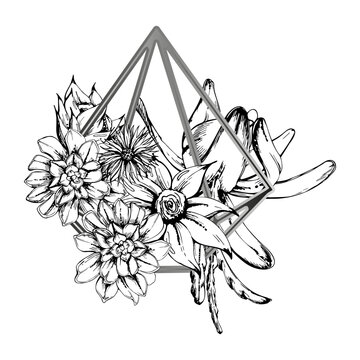 Succulent spirals and hanging cactus shoots arrangement in diamond shaped metal frame. Clean isolated vector illustration hand drawn in ink. Minimal logos, eco identity systems, and wellness branding.