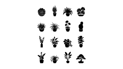 Fototapeta premium Plants in Pots Arranged in a 4x4 Grid with Various Shapes and Styles Featuring Potted, Succulents, Foliage with Greenery