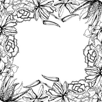Layered echeveria, kalanchoe rosette succulents with aloe, snake plant and strelitzia spiky blooms in botanical edge frame. Hand drawn ink vector line art. Product labels and zero waste shop signage.