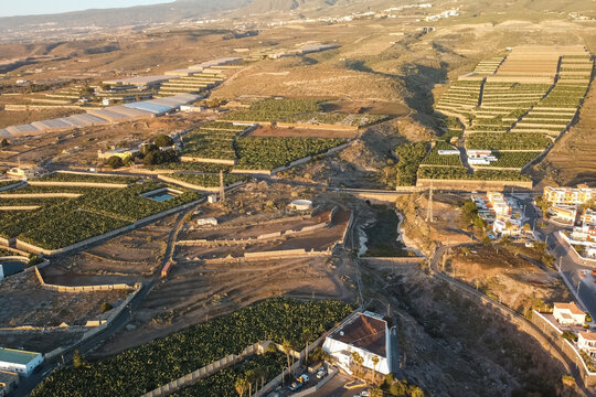 Aerial view of tropical banana plantation with terraced agricultural fields, Drone panorama of cultivated farmland showcasing large commercial banana crops and rural landscape