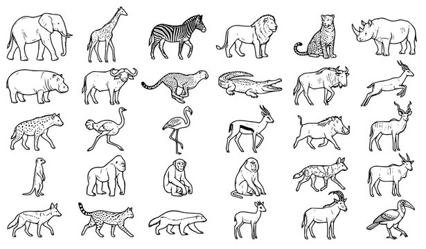 Wild animal outline icon collection featuring lion elephant zebra giraffe tiger monkey bear and crocodile