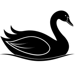 black swan vector illustration © Rida