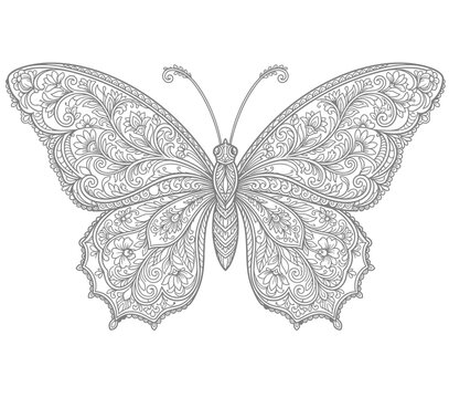Intricate butterfly coloring page. Detailed floral insect line art for adult coloring.