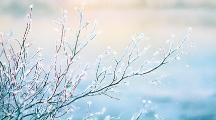 Obraz premium Frosted winter branches glow serene over a blue lake tranquil scene evokes peaceful nature beauty