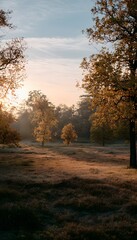 Fototapeta premium Autumn landscape bathed in golden hour light evokes peaceful serenity and warm vibrant beauty