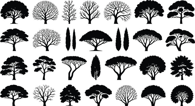 Detailed black tree silhouettes and botanical shrubs mega collection set isolated on white background for landscape design master planning forestry mapping and nature vector illustrations
