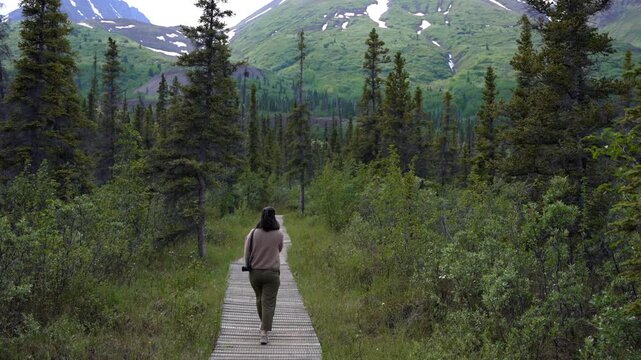 Woman walking on a boardwalk bridge with a camera in Kluane National Park
