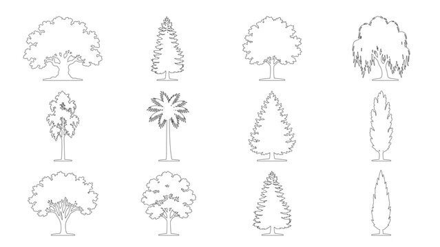 CAD Drawings. Set of tree outlines isolated on white and transparent background. Architectural elevation plants, pine, palm, and deciduous trees. Side view. Vector illustration.