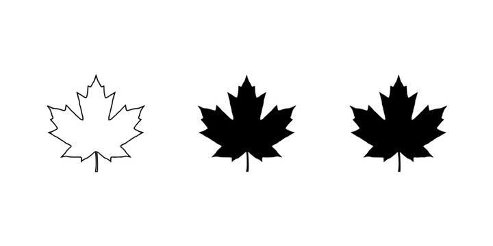Maple Leaf Icons Set of Three in a Row with Varying Levels of Fill for Autumn Themed Graphic Design Featuring Icon, Fall, Foliage