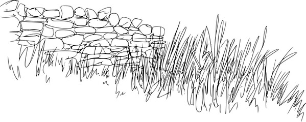 背の高い野生の牧草地の草に囲まれた素朴な石垣のシンプルな白黒の線画 © Anjuman_42