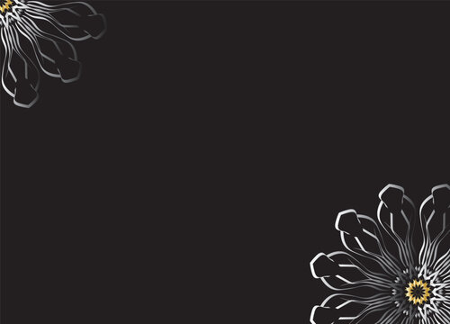 Monochrome Abstract Flower Petals with Black Background