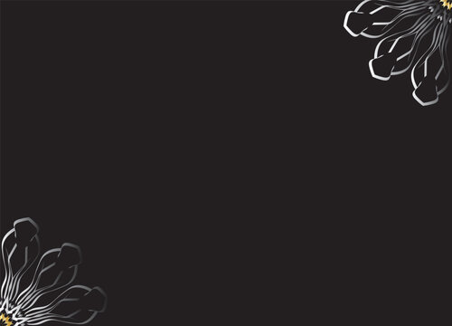 Monochrome Abstract Flower Petals with Black Background