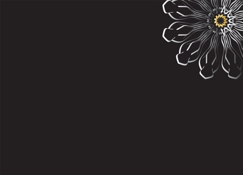 Monochrome Abstract Flower Petals with Black Background
