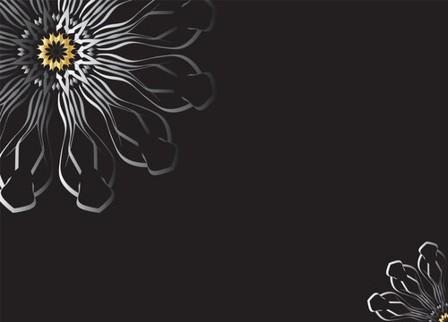 Monochrome Abstract Flower Petals with Black Background