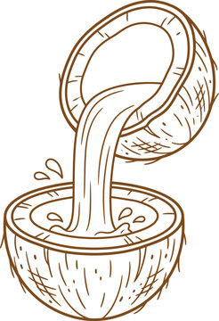 Line art illustration of a coconut pouring milk into another coconut half