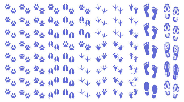Detailed collection of diverse animal and human footprints presented as a clean blue vector graphic illustration