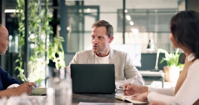 Sustainable, meeting or man in agency with laptop, esg growth pitch or discussion on green operation. Digital, mature lead or csr team with tech, conservation proposal or feedback on ethical strategy
