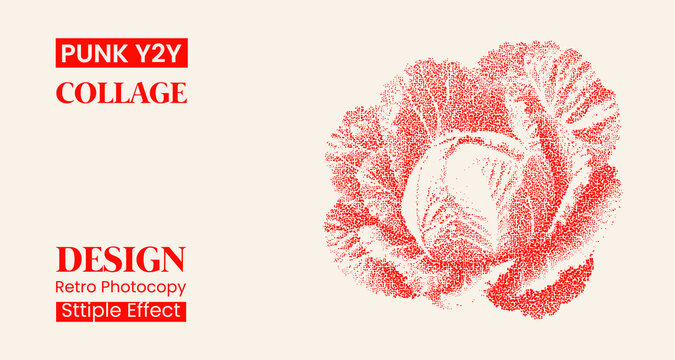 Stipple effect cabbage illustration, red retro photocopy style graphic design element, punk y2k aesthetic, vintage botanical art, textured vegetable drawing
