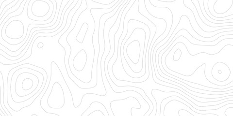Abstract White Paper Cut Background with Flowing Topographic Contour Lines and Elegant Wavy Layered Relief Texture Design  © ALAMA