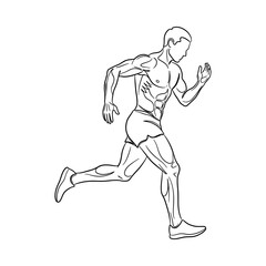 Obraz premium Detailed black and white line of a muscular male runner in a side profile pose, showing defined anatomy and athletic movement, isolated on a white background, for fitness concepts