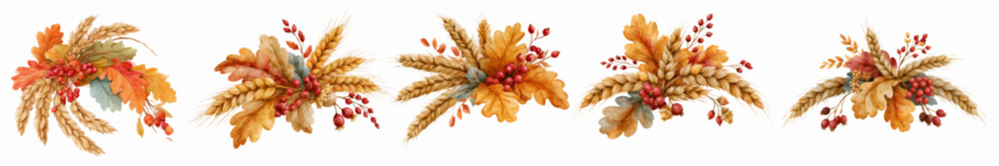 Obraz premium Decorating with a collection of autumn harvest bouquets featuring wheat, oak leaves, and red berries, creating a warm seasonal watercolor nature design