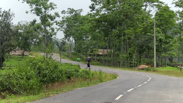 Dibrugarh, Assam, India &ndash; 14 July 2026: Two people walk along a curved rural road beside a tea plantation and village homes, reflecting everyday life and transportation in the countryside of Assam.
