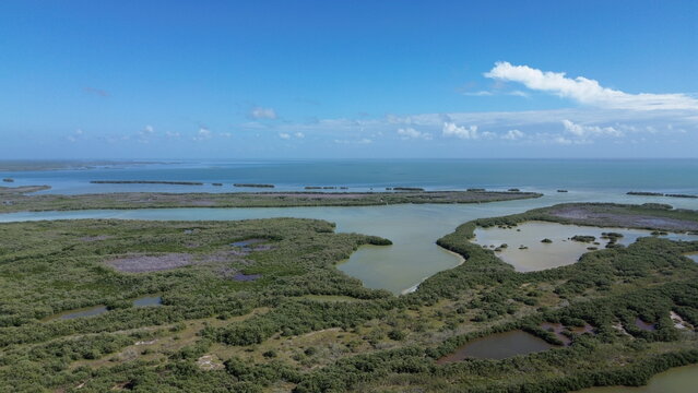 Cinematic aerial view of the lush green mangroves, emerald lagoons and wild wetlands of Holbox Island, Mexico