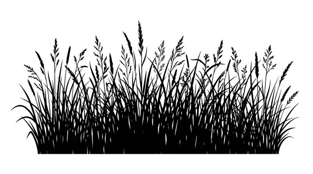CAD tree lines,  grass Black grass, wheat, and reeds silhouette, vector grassland, wild plants, landscape elements vector