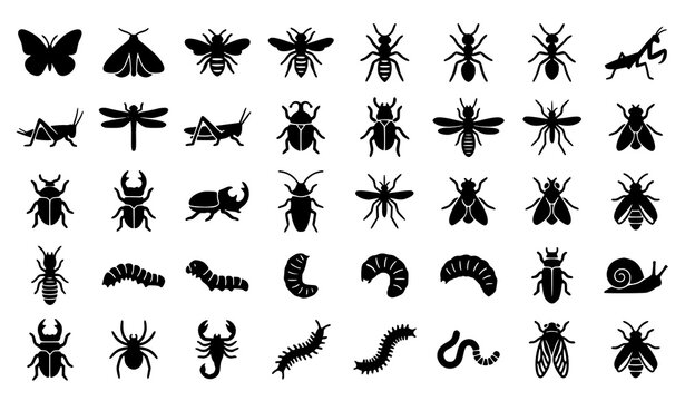 Black silhouette insect and larvae icon set with butterflies beetles bees caterpillars spiders and educational wildlife symbols isolated on white background