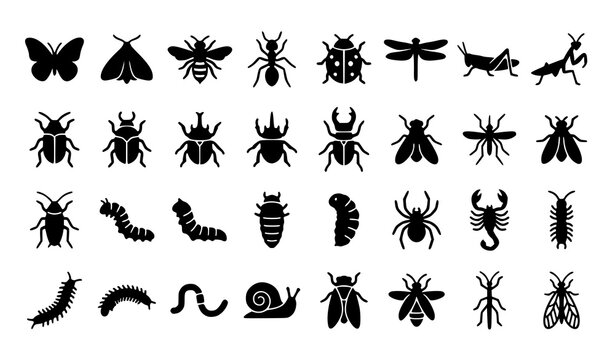 Minimal black insect and larvae vector icon set featuring butterflies beetles spiders caterpillars and educational wildlife symbols isolated on white background