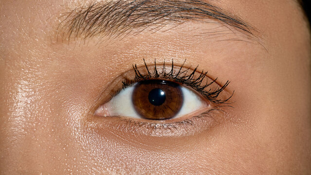 Extreme macro of brown female eye with long lashes and natural eyebrow. Concept of mascara advertising, eye makeup, brow products, vision care and cosmetic branding.