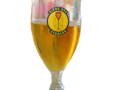 Chope de bi&egrave;re la cigale