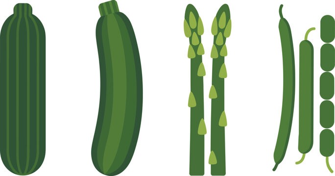 Selection of green vegetables including cucumber asparagus and string beans with vegetables cucumber asparagus ingredient vegetarian nutrition vitamins illustration collection isolated