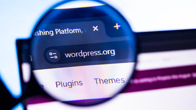 Close up of magnifying glass over WordPress website url on laptop screen.