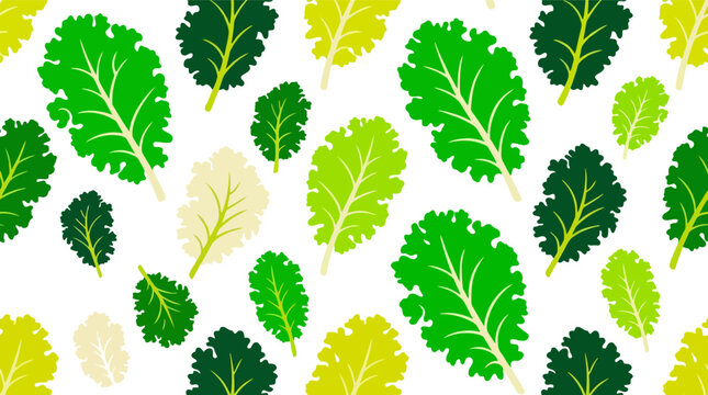 Seamless pattern with fresh kale leaves isolated on white background