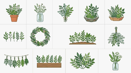 Fototapeta premium Modern Illustrated Collection of Fresh Herbs in Various Stylish Arrangements and Containers with high quality professional line art symbols for modern creative design and digital branding projects