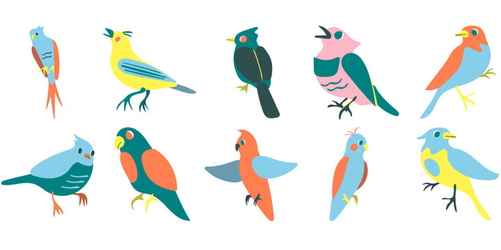 Colorful Cute Bird Character